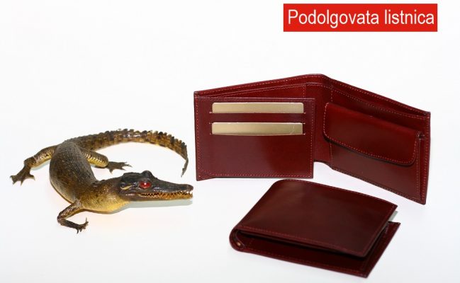 Podolgovata listnica