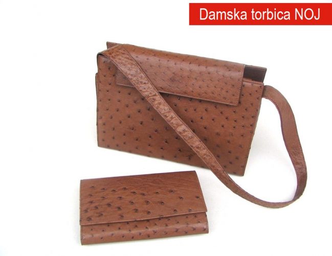 Damska torbica Noj